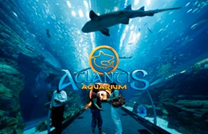Oferta Hotel Indiana Atlantis Aquarium