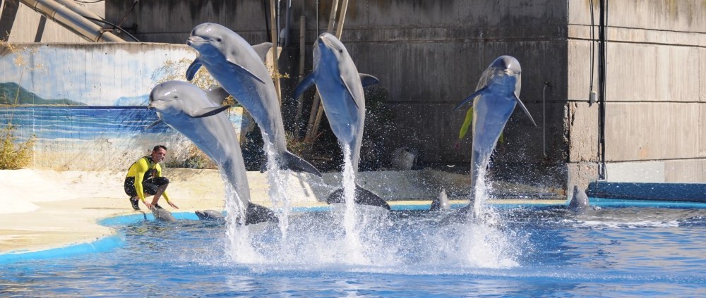 zoo de madrid