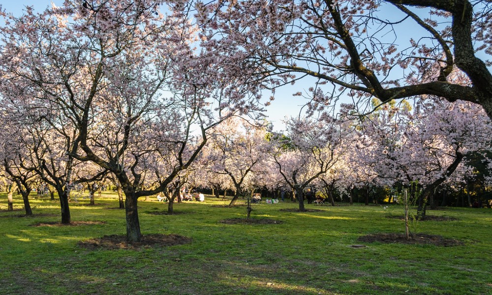 Parque de la Quinta de los Molinos de Madrid