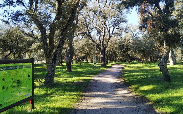 rutas casa de campo