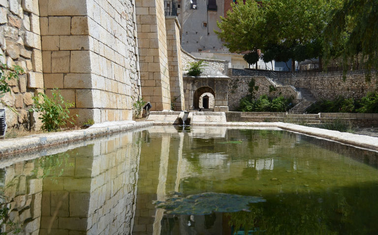 fuente de zacatin