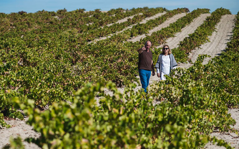 bodegas-Muñoz-Martín